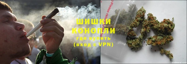 ешки Белокуриха