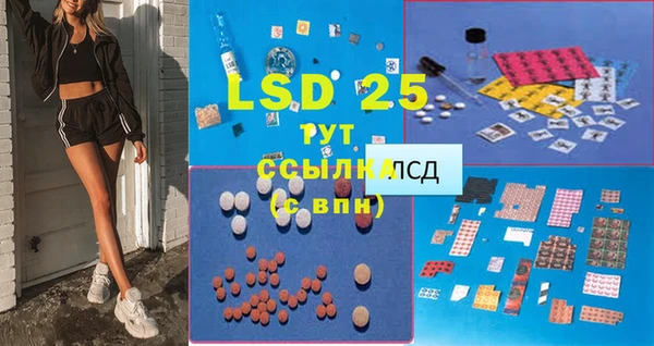 ешки Белокуриха