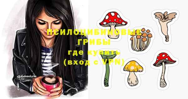 ешки Белокуриха