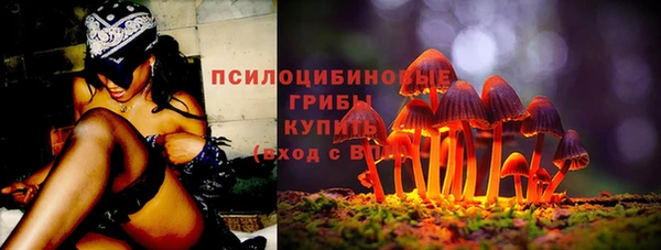 ешки Белокуриха